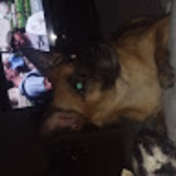 Meet your Posher, Buronica - Picture 1 of 1